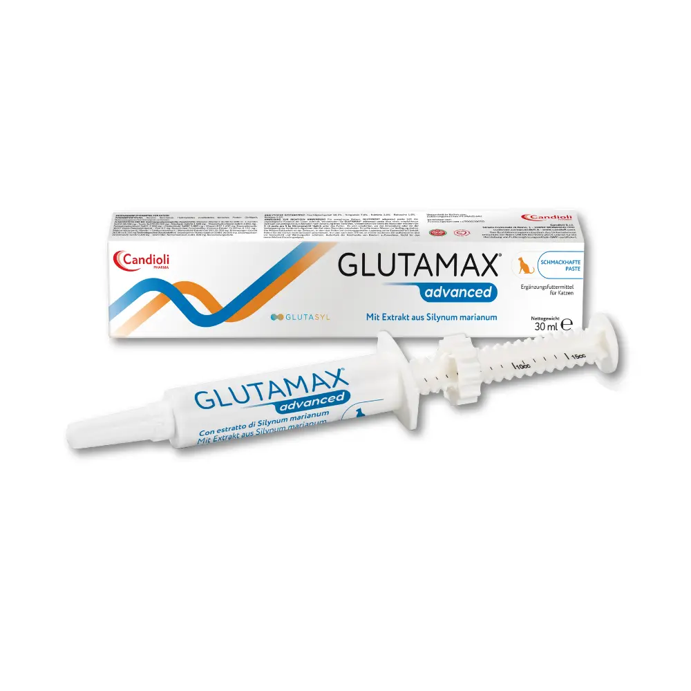 Glutamax Advanced - paste