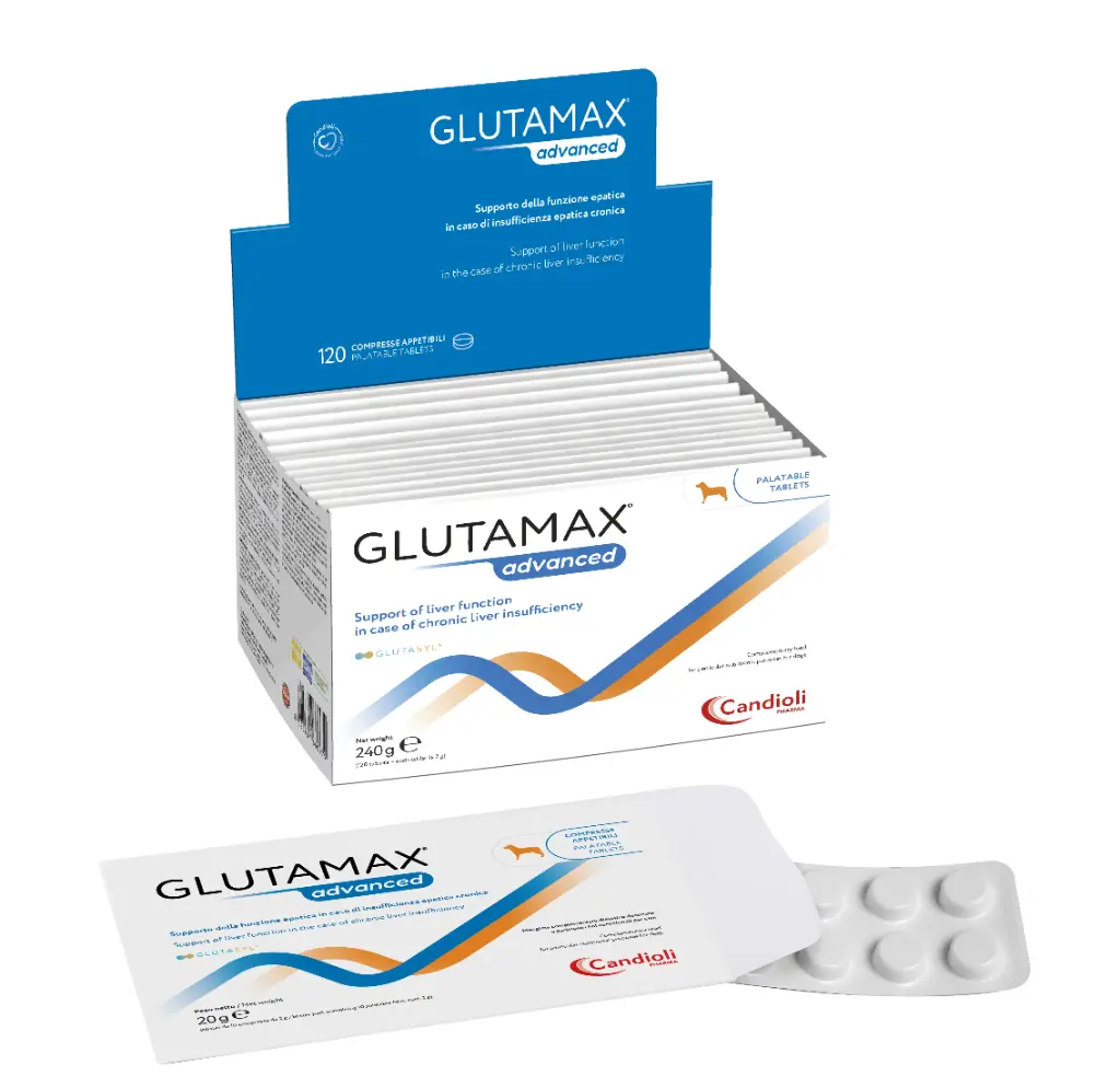 Glutamax Advanced - tablets