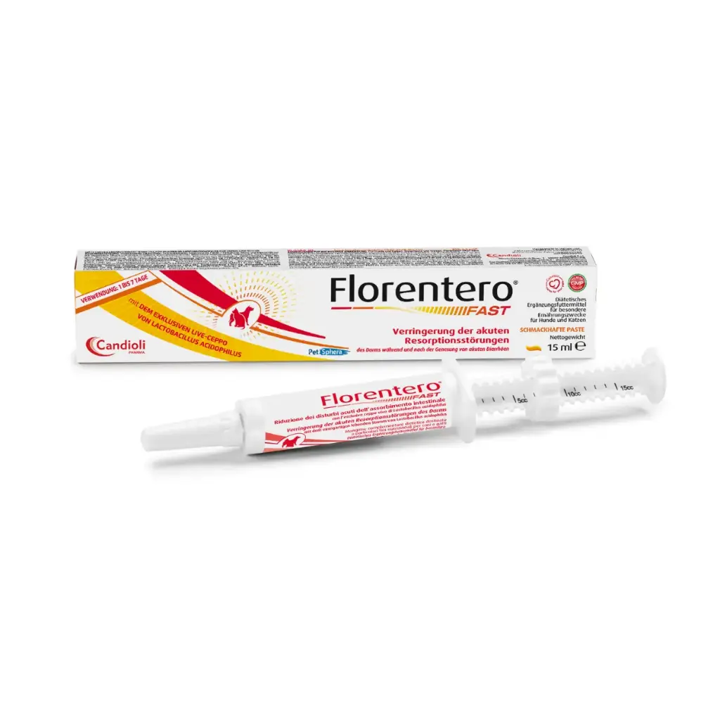 [PAE6491] Florentero FAST - Paste 