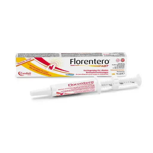 [PAE6491] Florentero FAST - paste