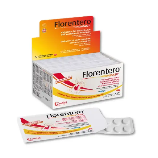 [PAE6492] Florentero FAST - Tabletten