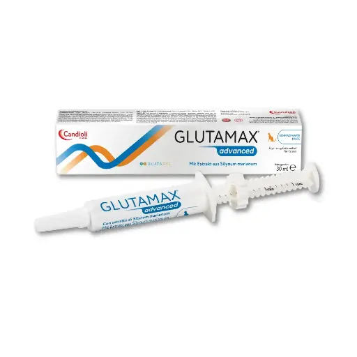 [PAE6485] Glutamax Advanced - Paste